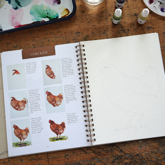 Bird Watercolor Workbook