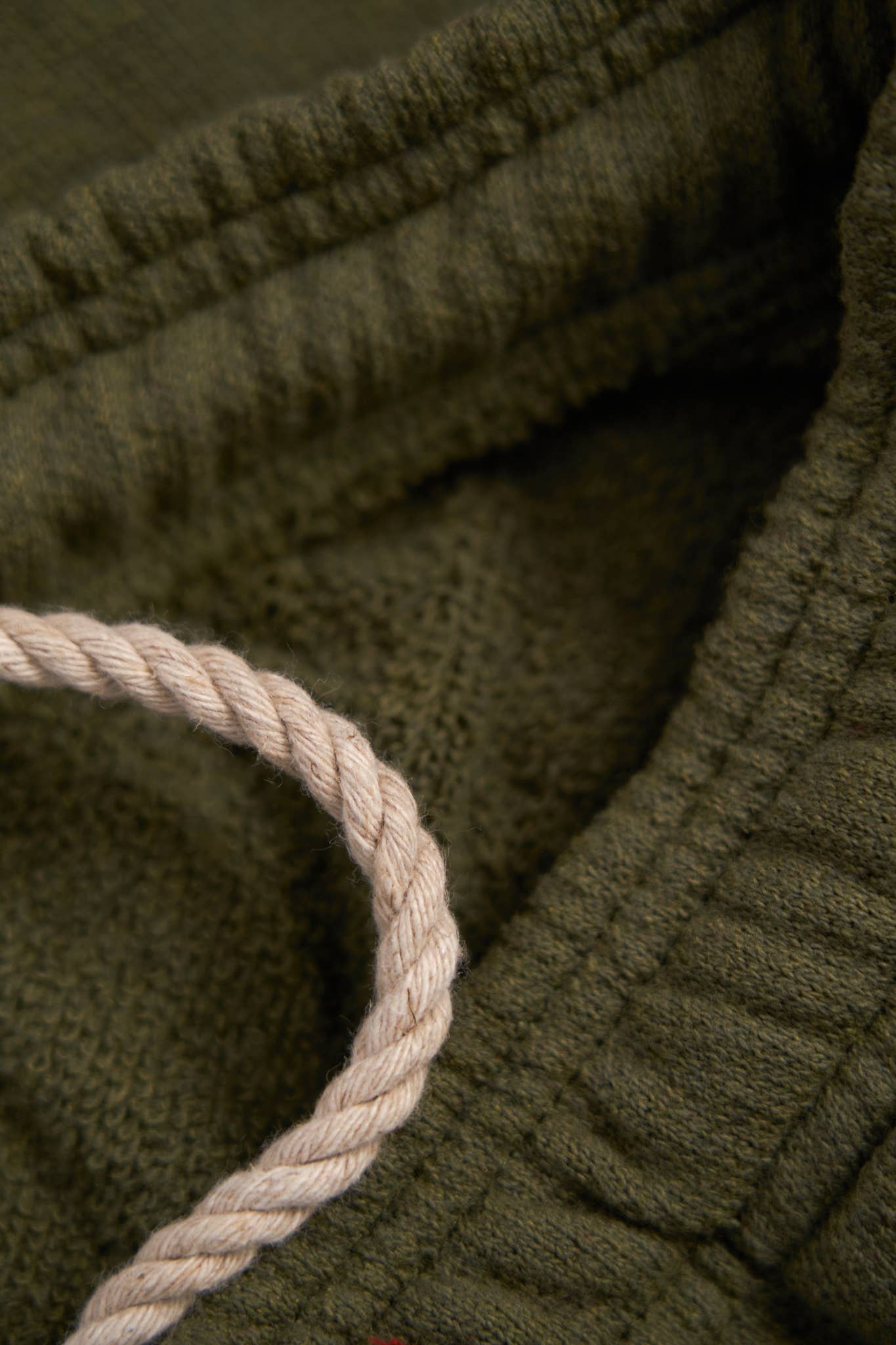 Upcycled Cotton Terry Shorts | Thicket Green