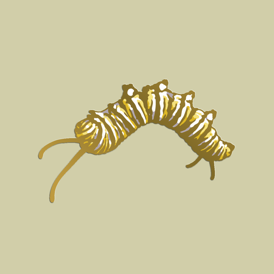 Nature Enamel Pins by Mustard Beetle