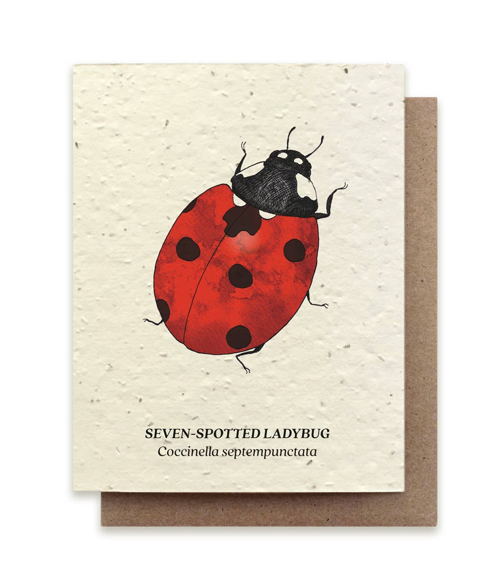 Seeded Plantable Greeting Cards