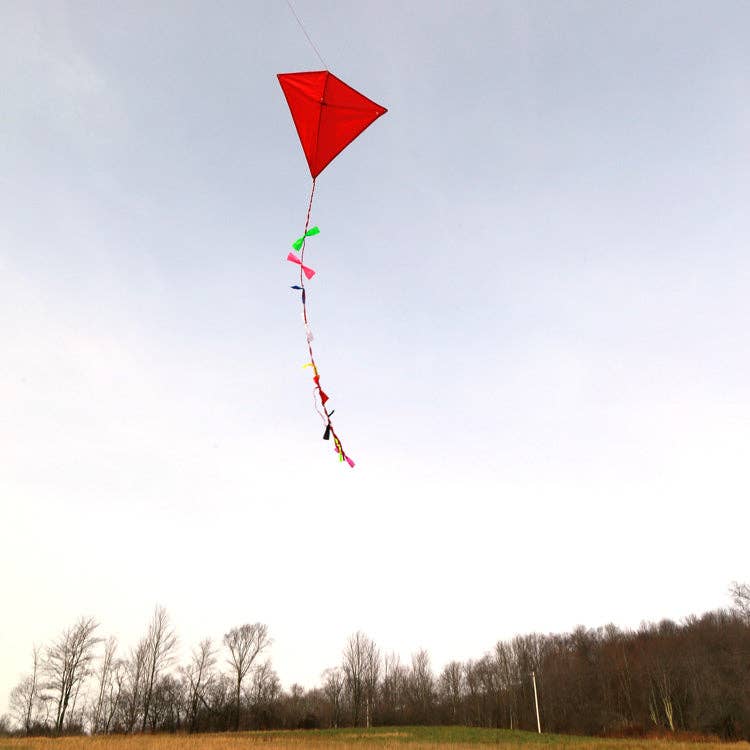 Red Reusable Kite