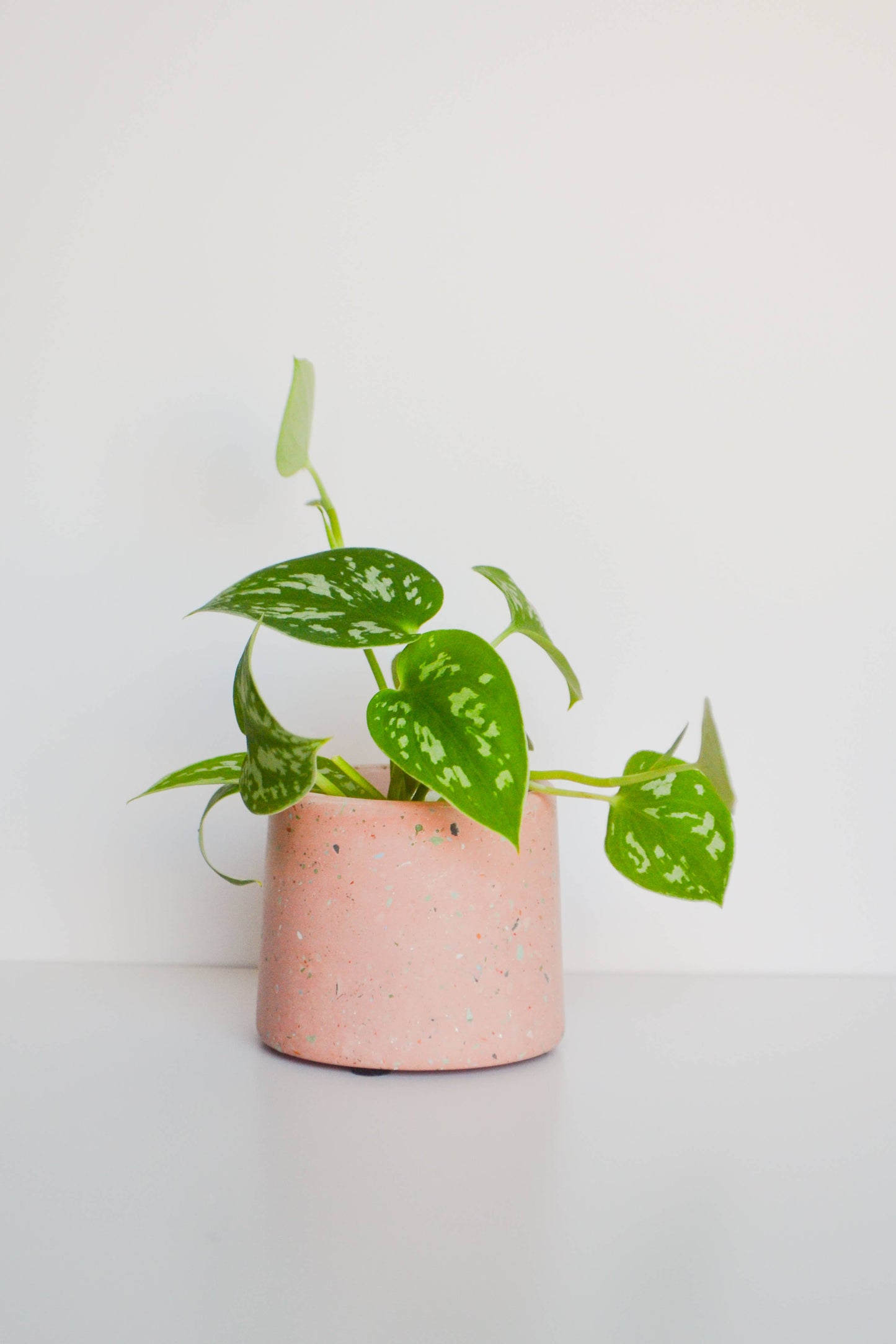 6" Peach Terrazzo Planter