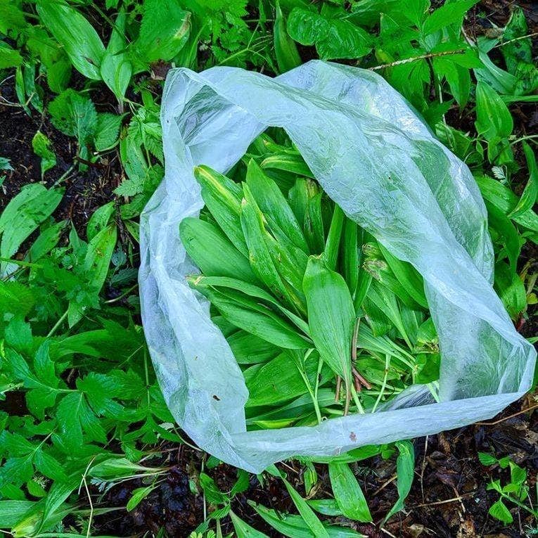 Burlap & Barrel - Wild Ramps
