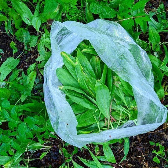 Burlap & Barrel - Wild Ramps