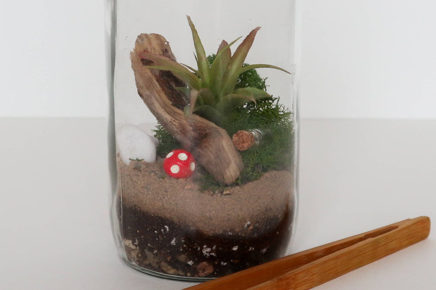 Glass Terrarium Kit