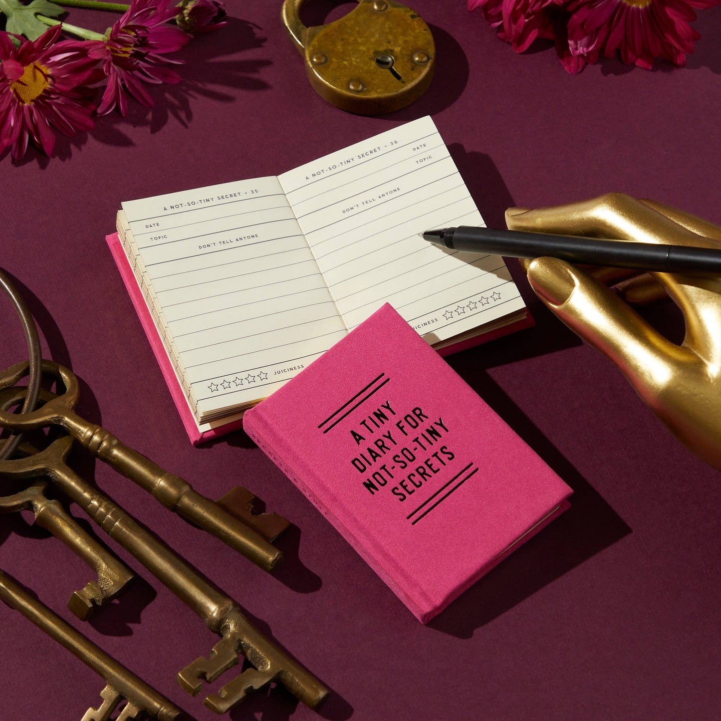 A Tiny Diary for Not So Tiny Secrets