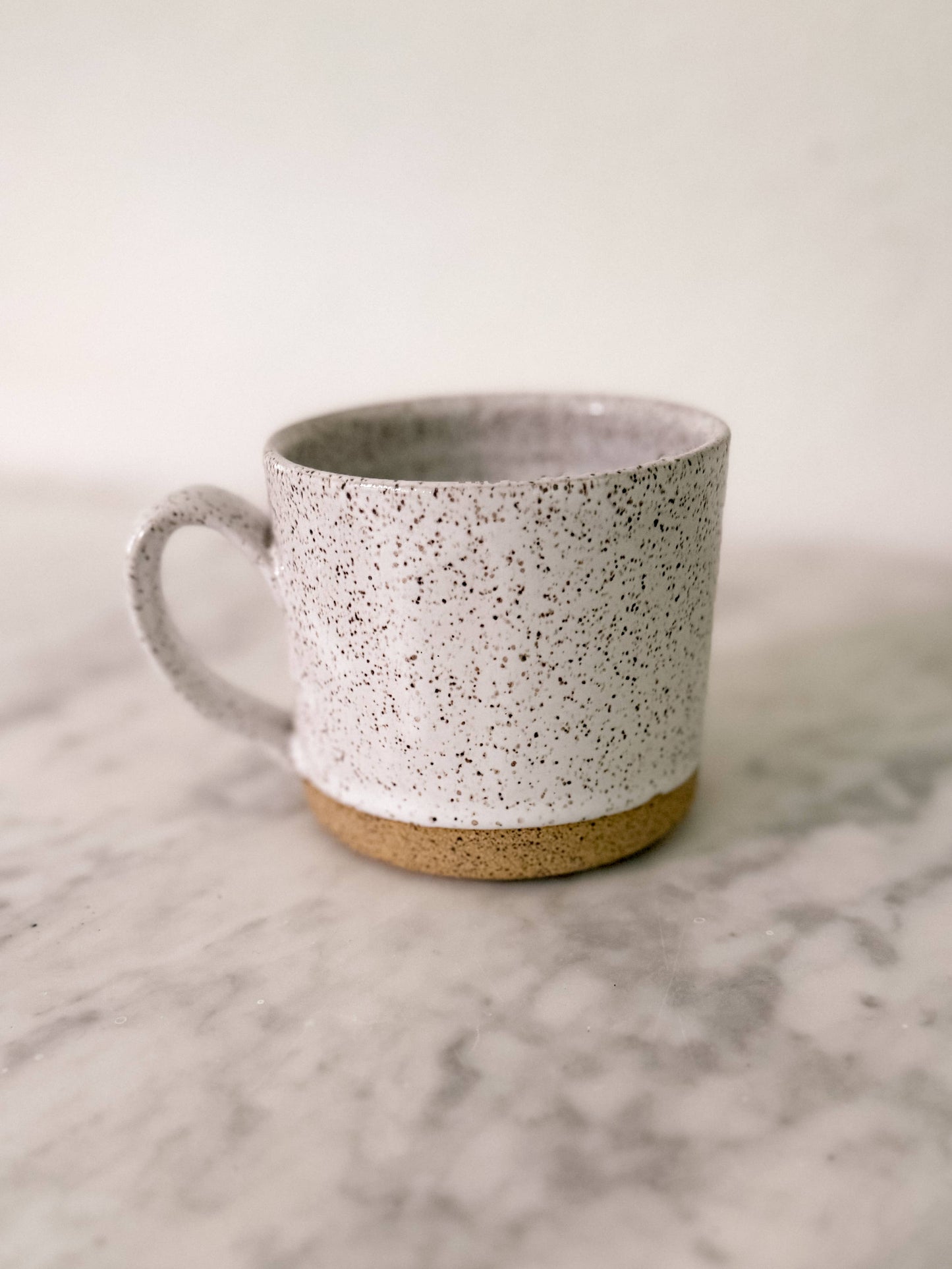 Ceramic Mug | Matte Speckle
