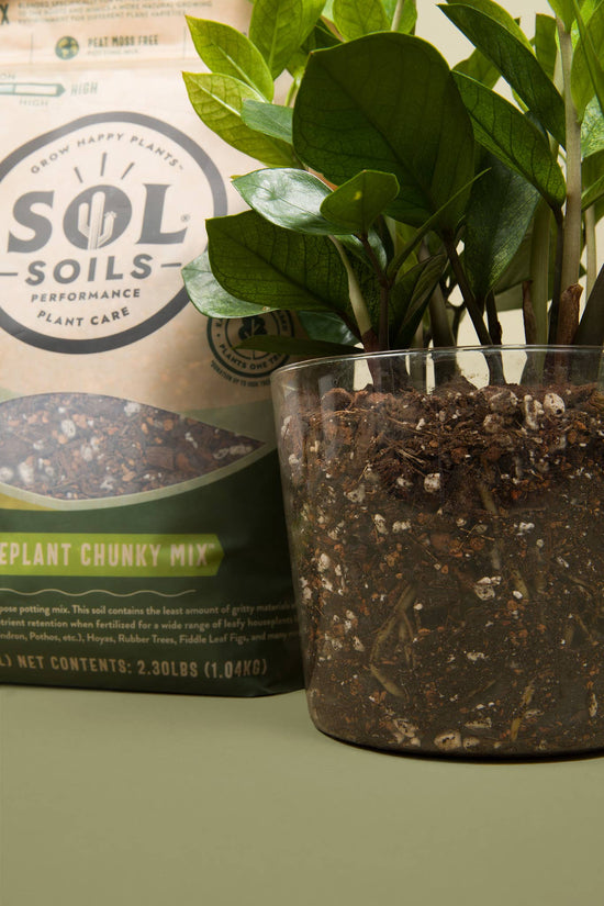 house plant potting soil Chunky Houseplant Potting Mix – PROCESS