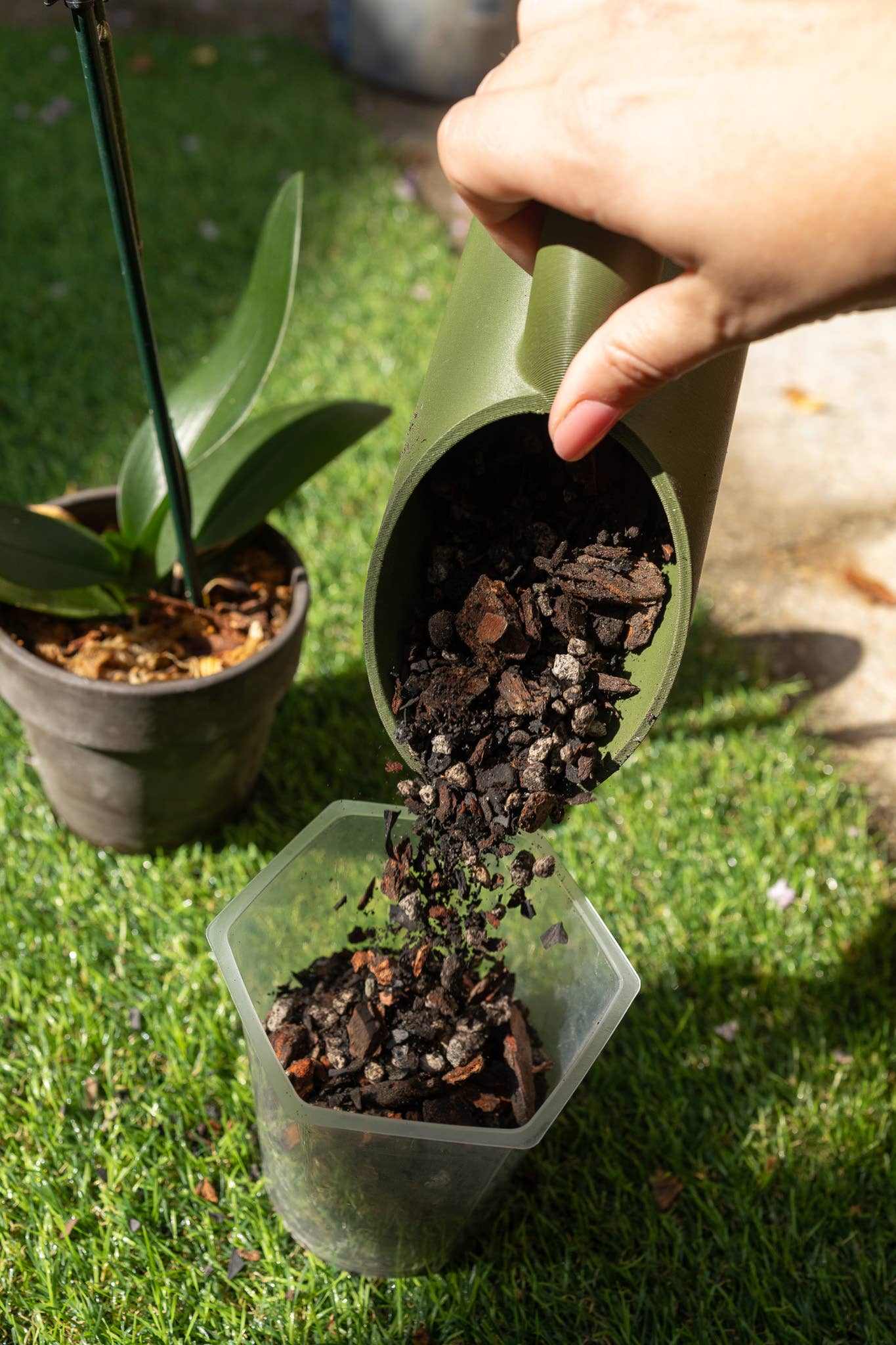 Organic Orchid Mix