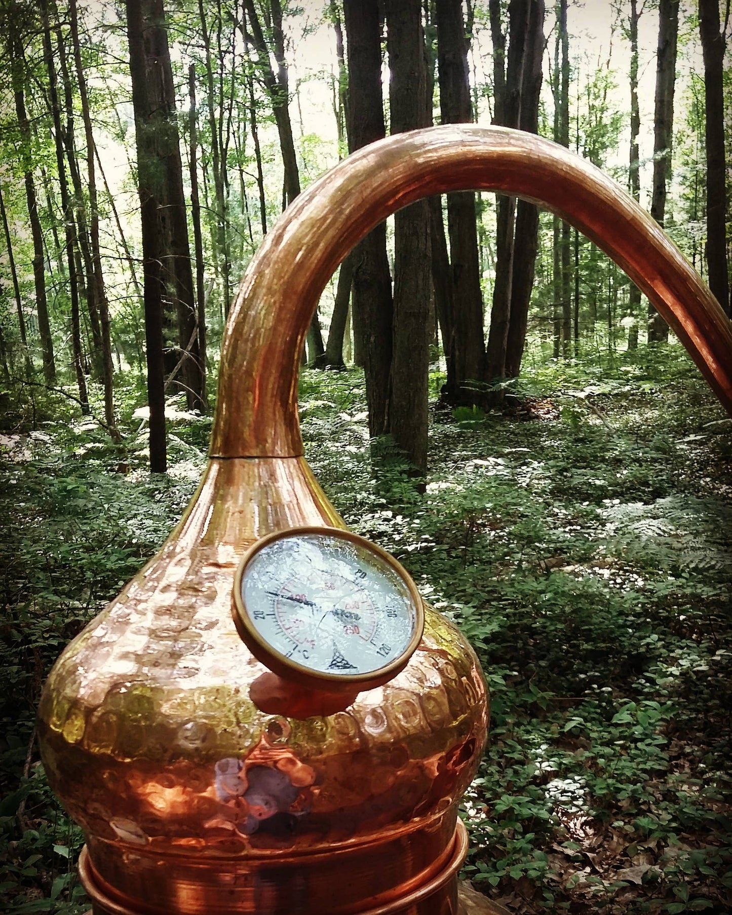 Forest Nymph Hyaluronic Acid Serum