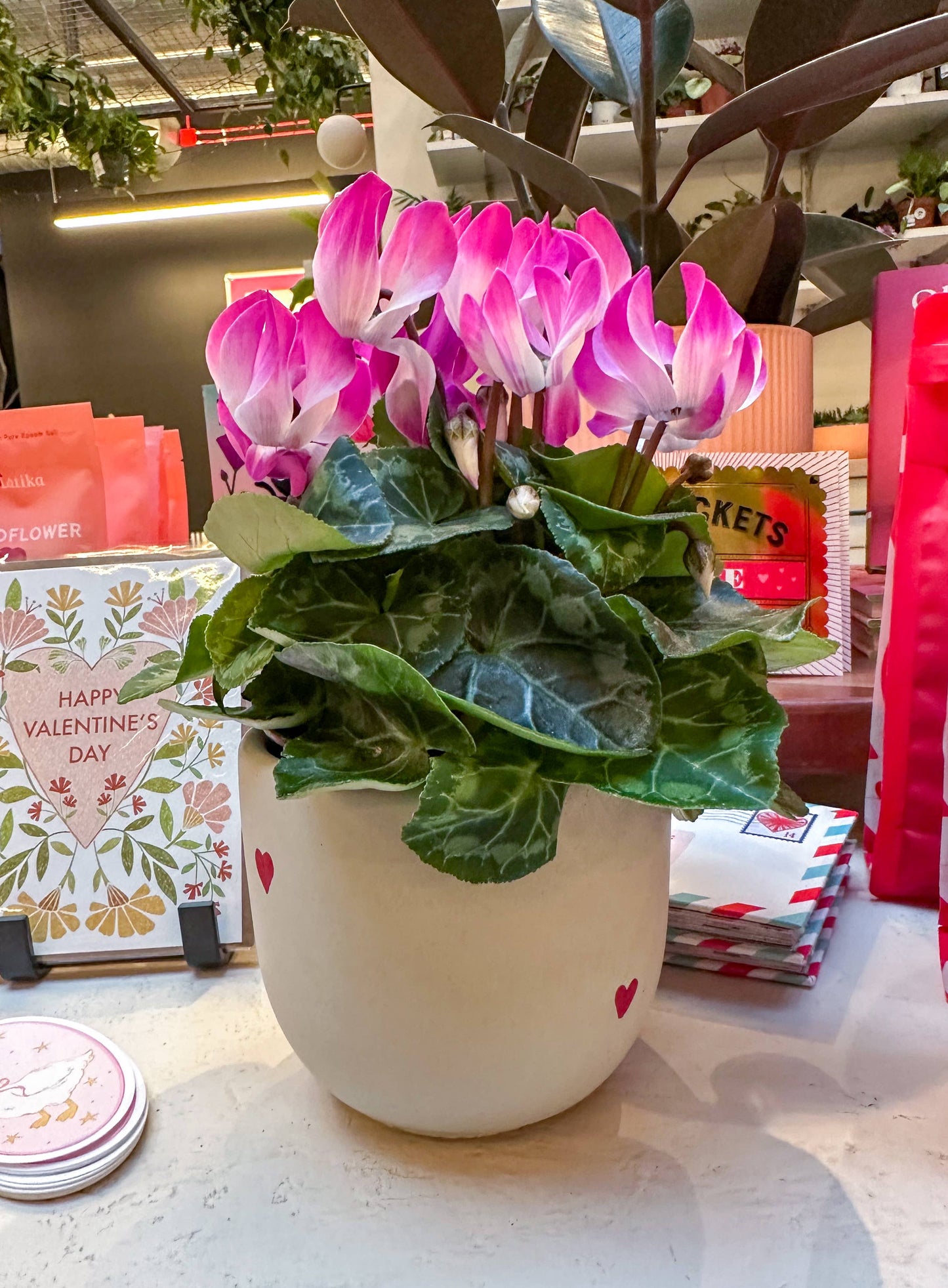 4" Heart Concrete Planter