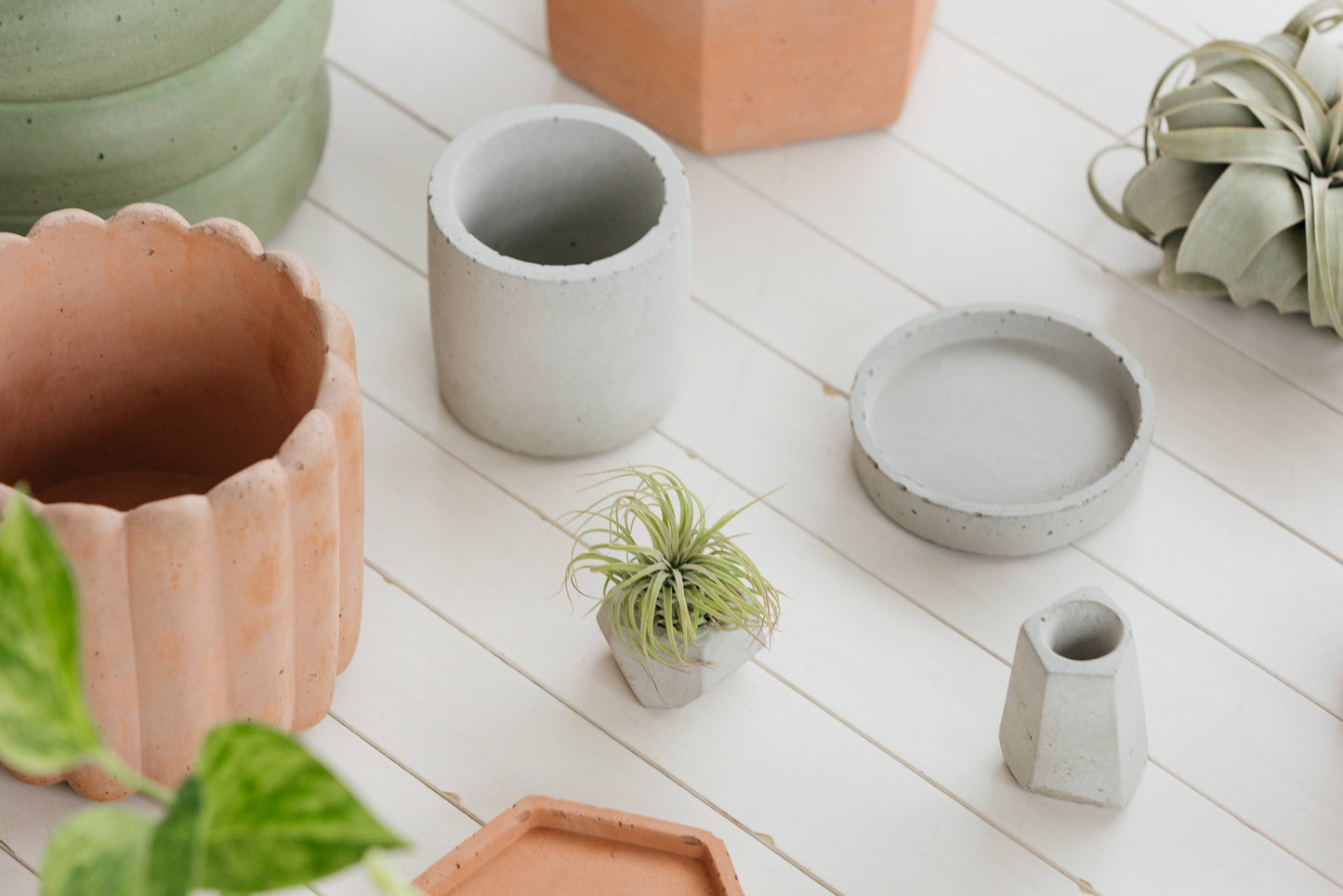4.5" Scallop Concrete Planter