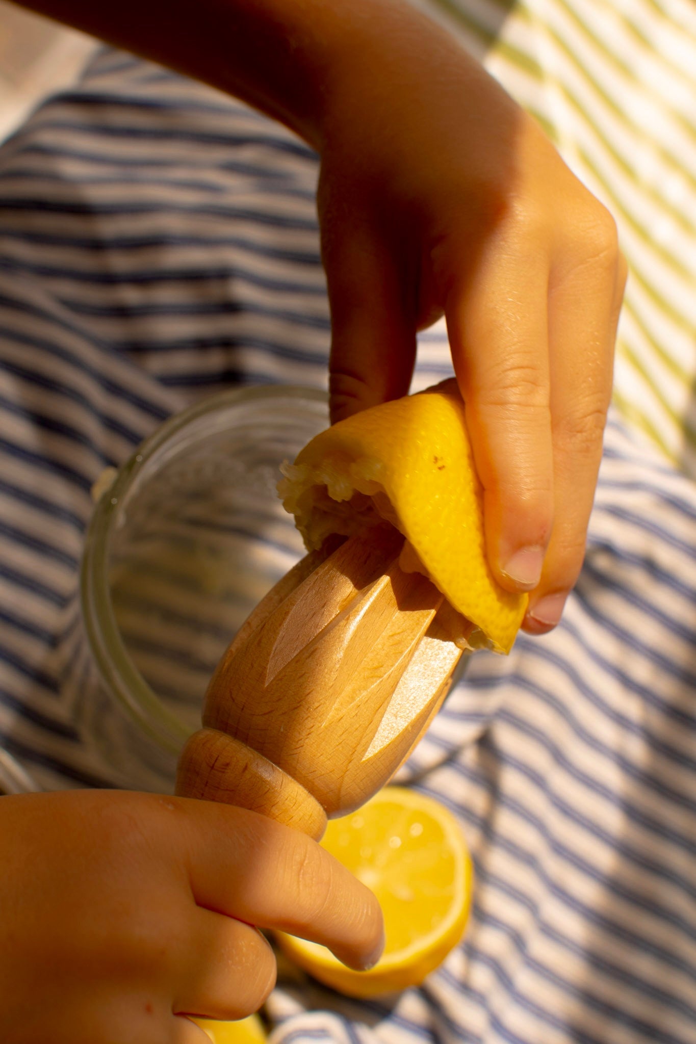 Citrus Juicer