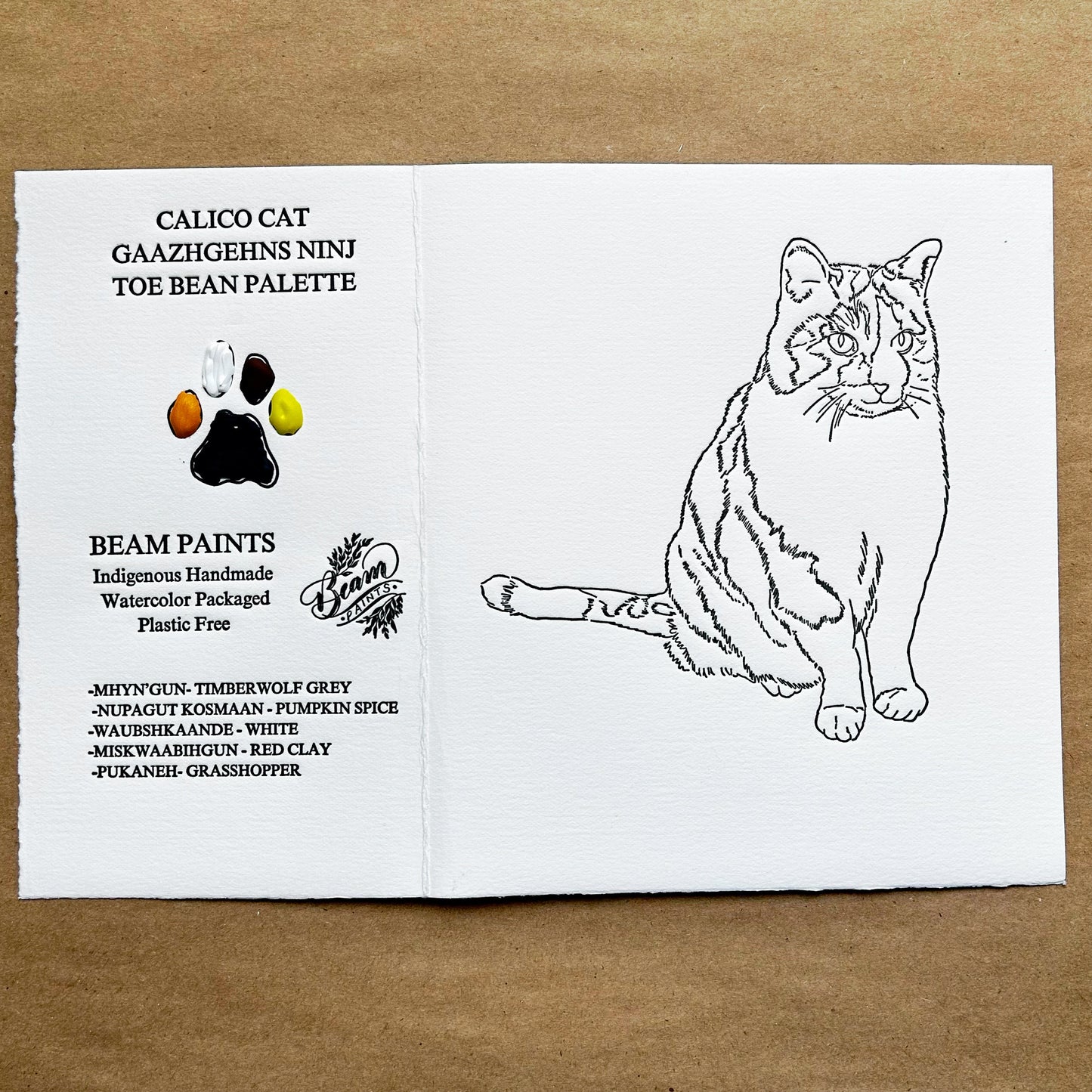 Beam Paints - Cat Paintable Cards & Palettes