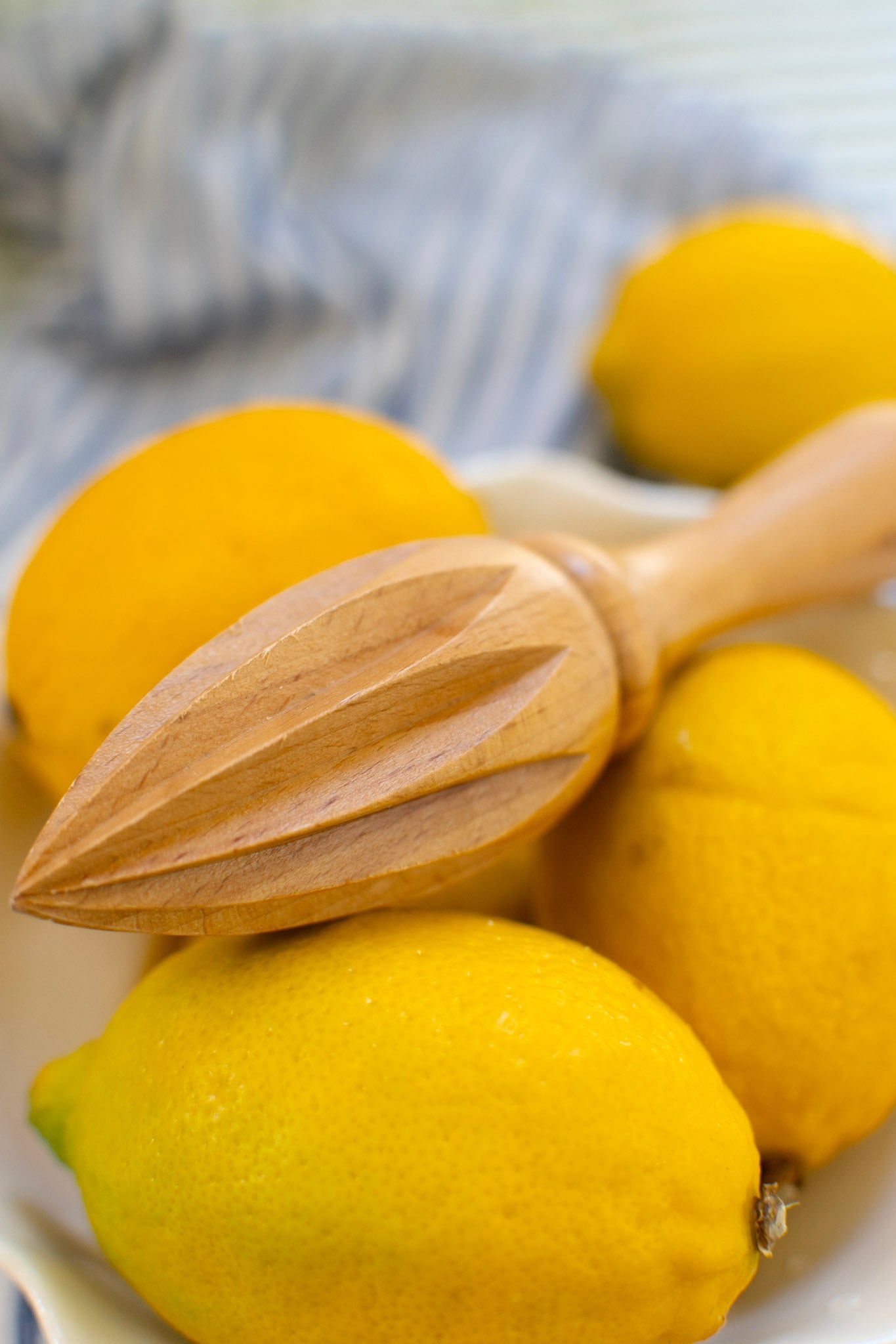 Citrus Juicer