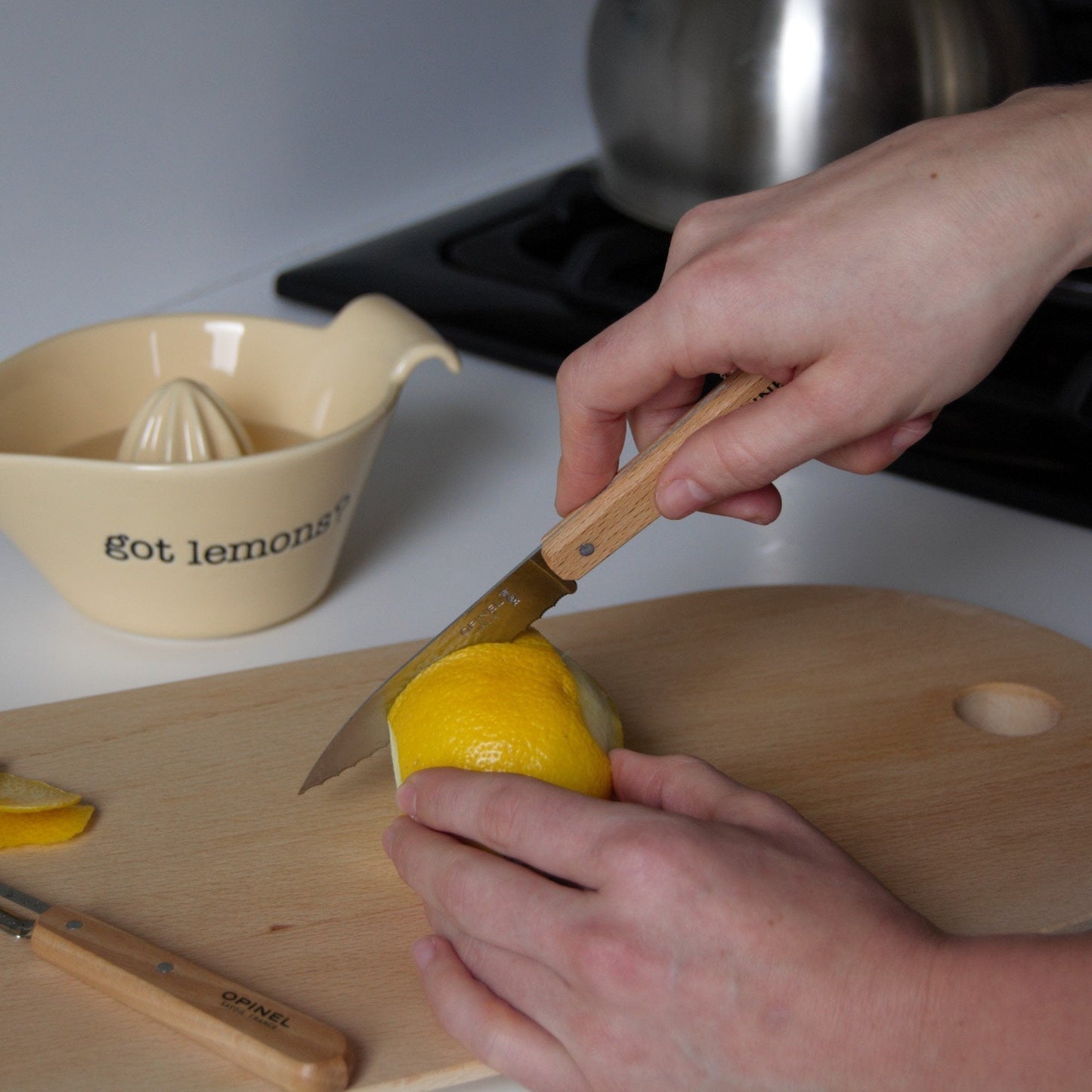 Les Essentiels Kitchen Knives Set by Opinel