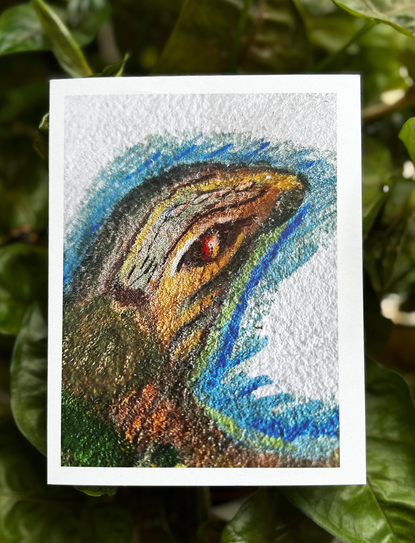 Native Print Magnets by Bright Star Art Studios