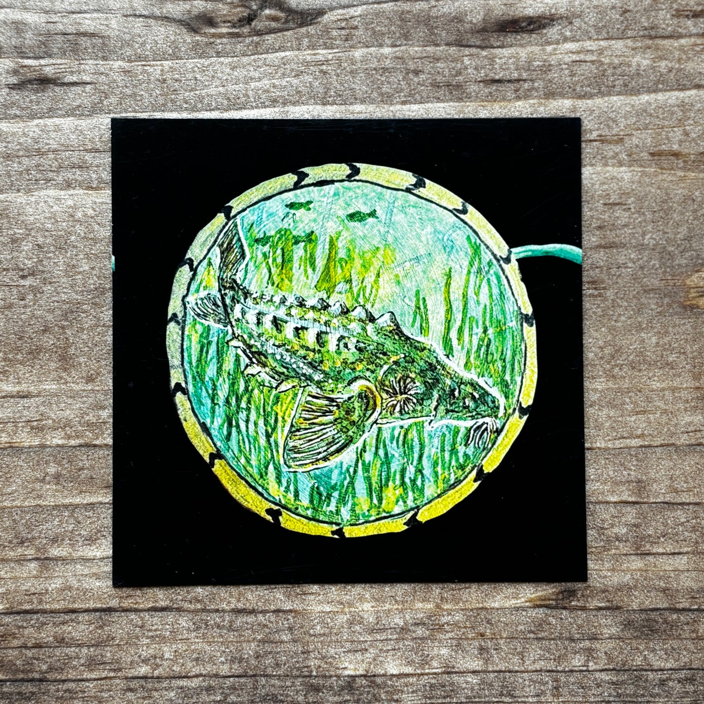 Native Print Magnets by Bright Star Art Studios