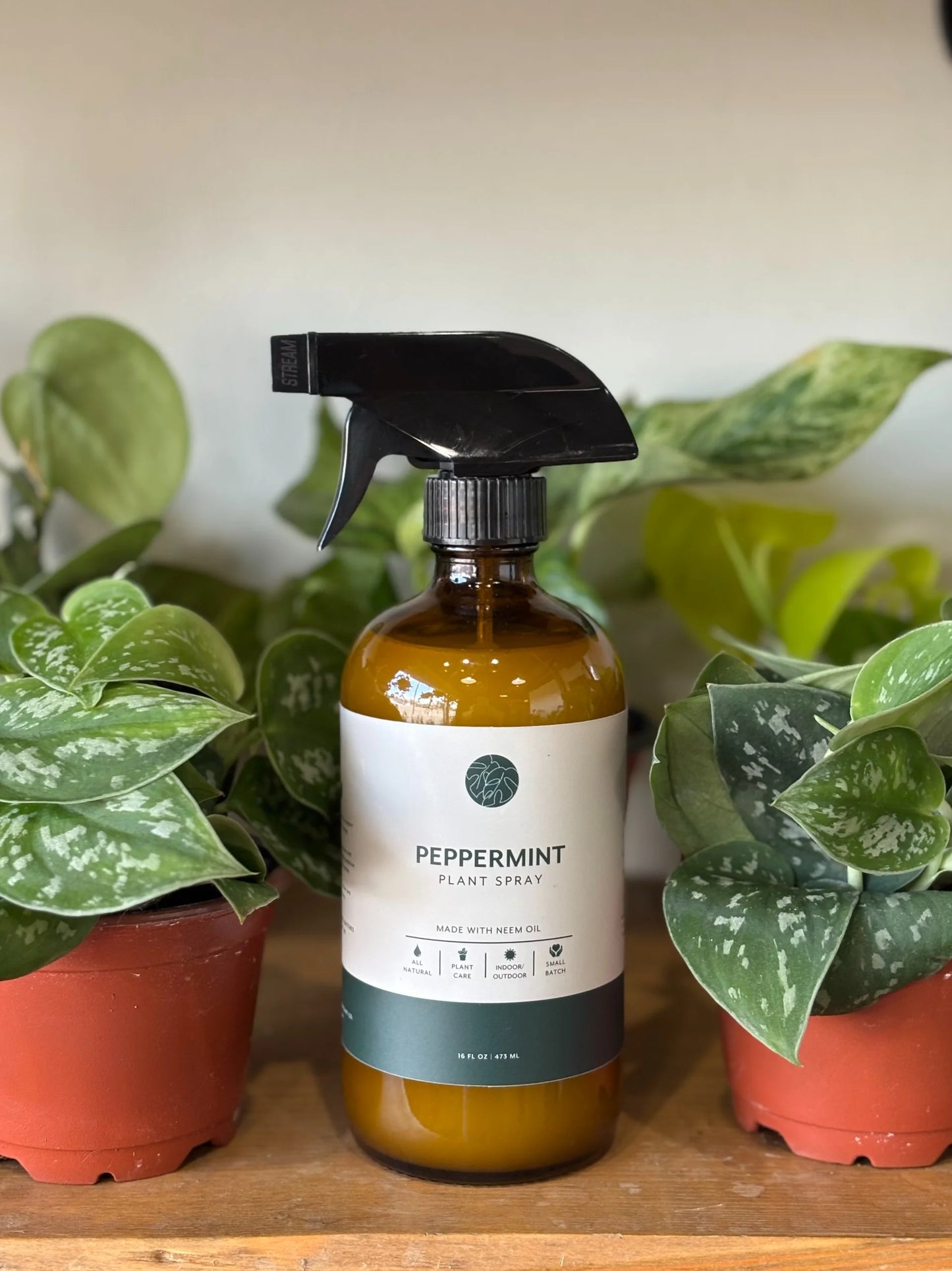 Neem Oil Spray