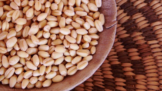 Ramona Farms - Wheat Berries