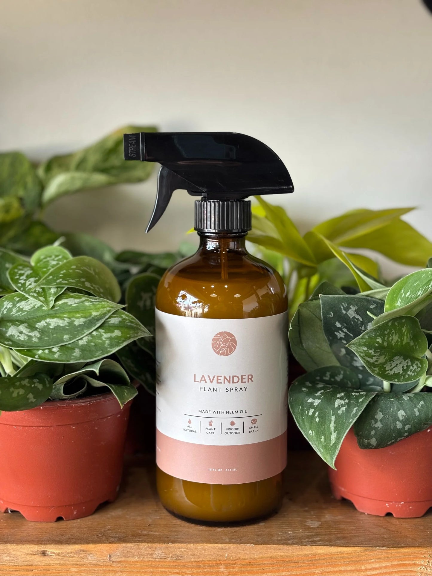 Neem Oil Spray