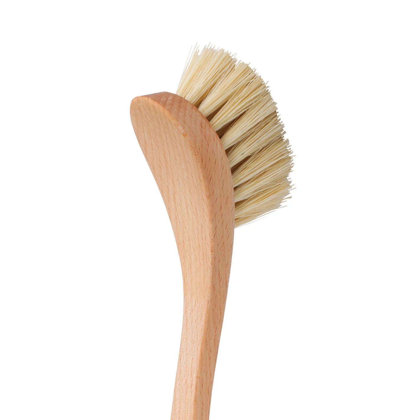 Wooden Dish Brush with Plant Bristles