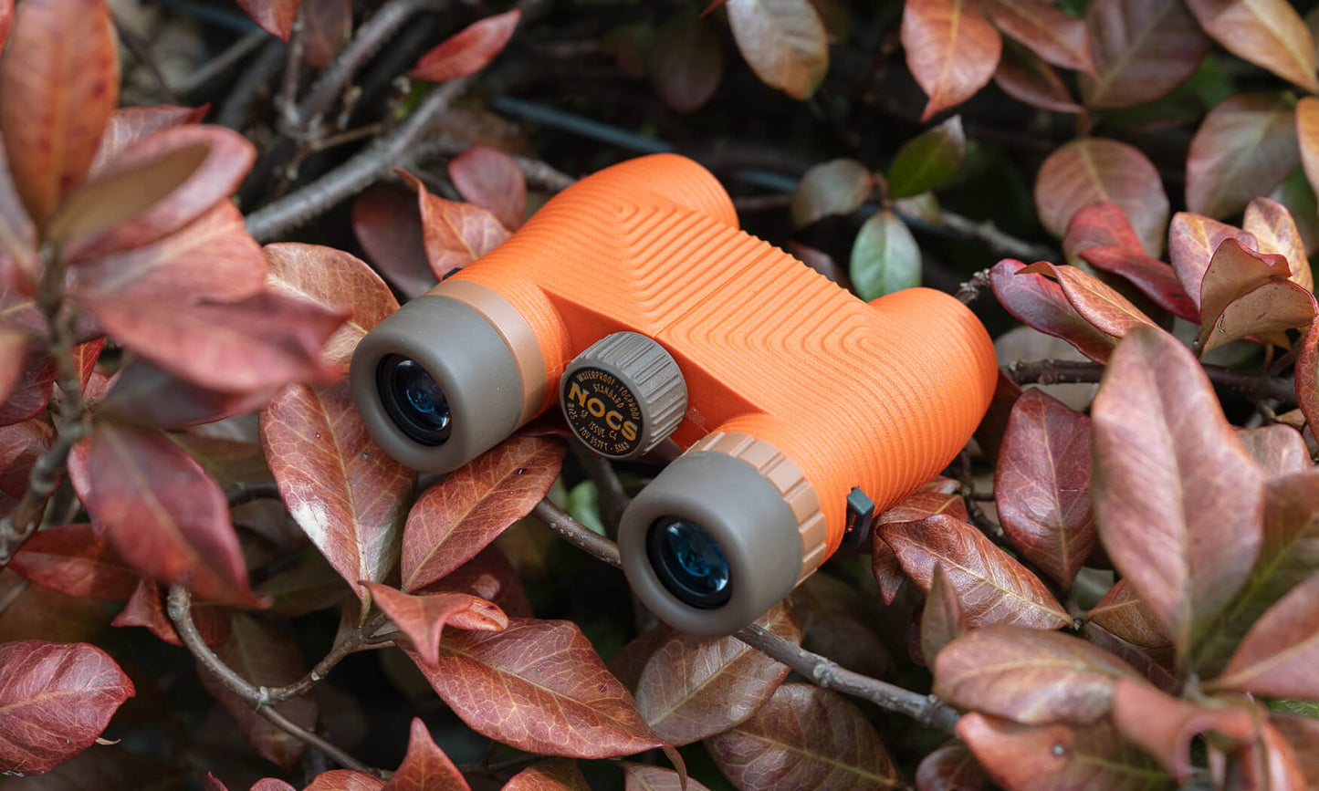 Standard Issue Binoculars 8x25 by NOCS Provisions
