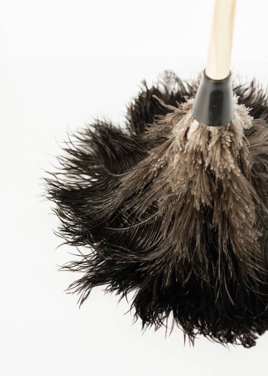 Feather Duster | 20 inch