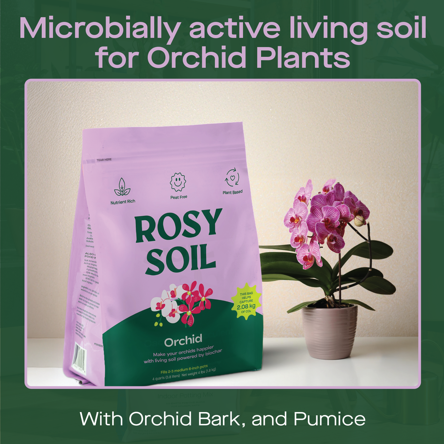 Organic Orchid Mix