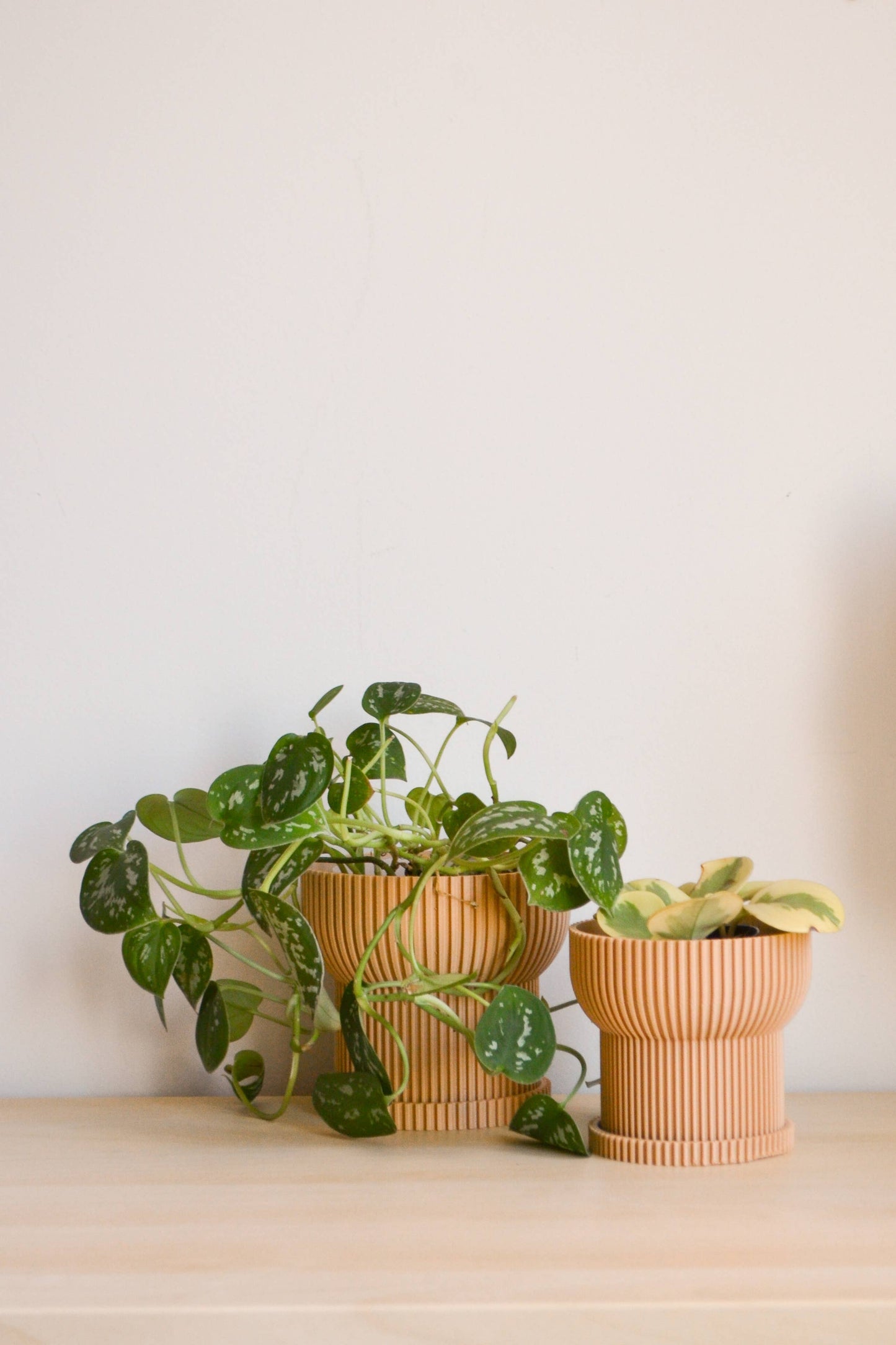 4" Ivory Japandi Planter + Tray