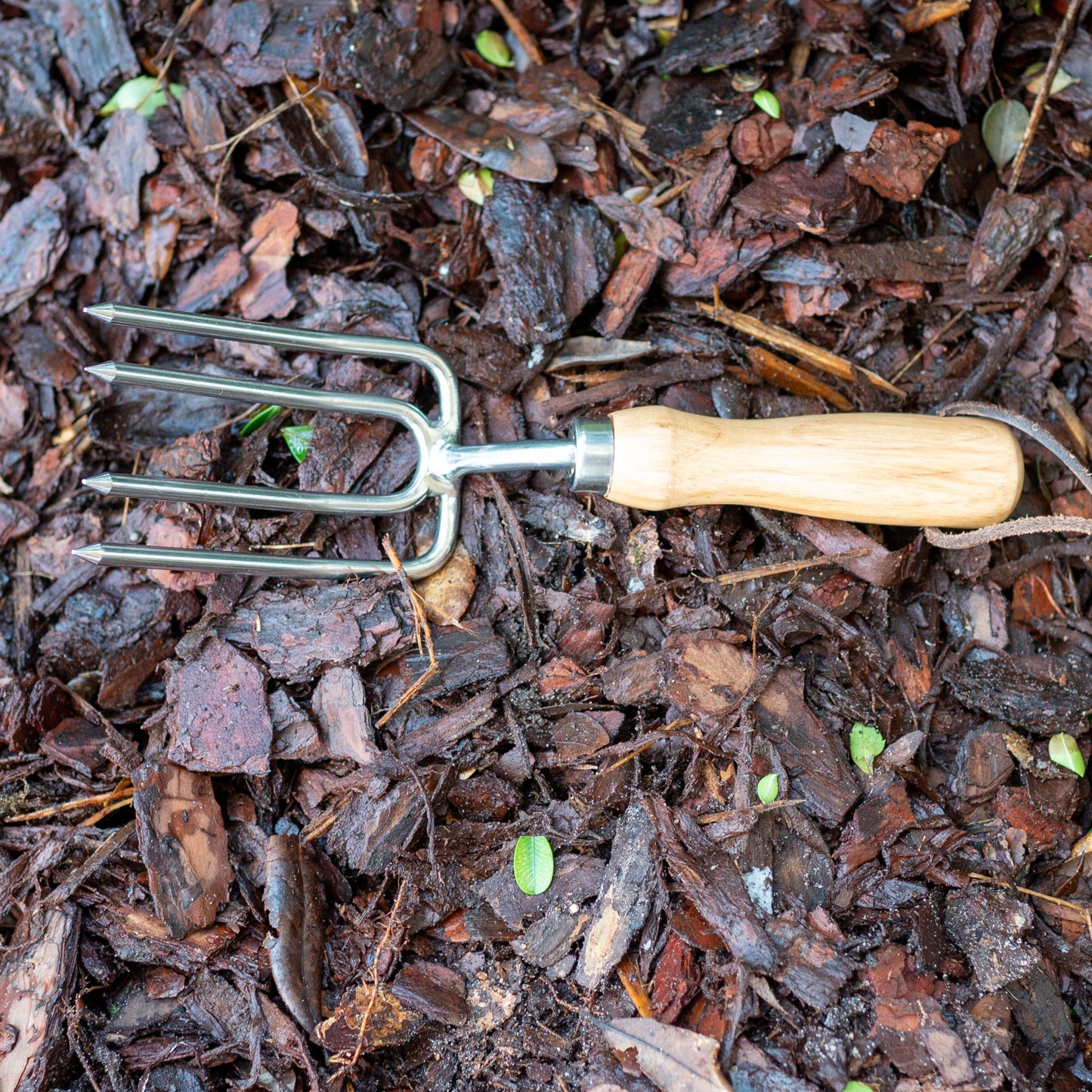 Round Tine Fork