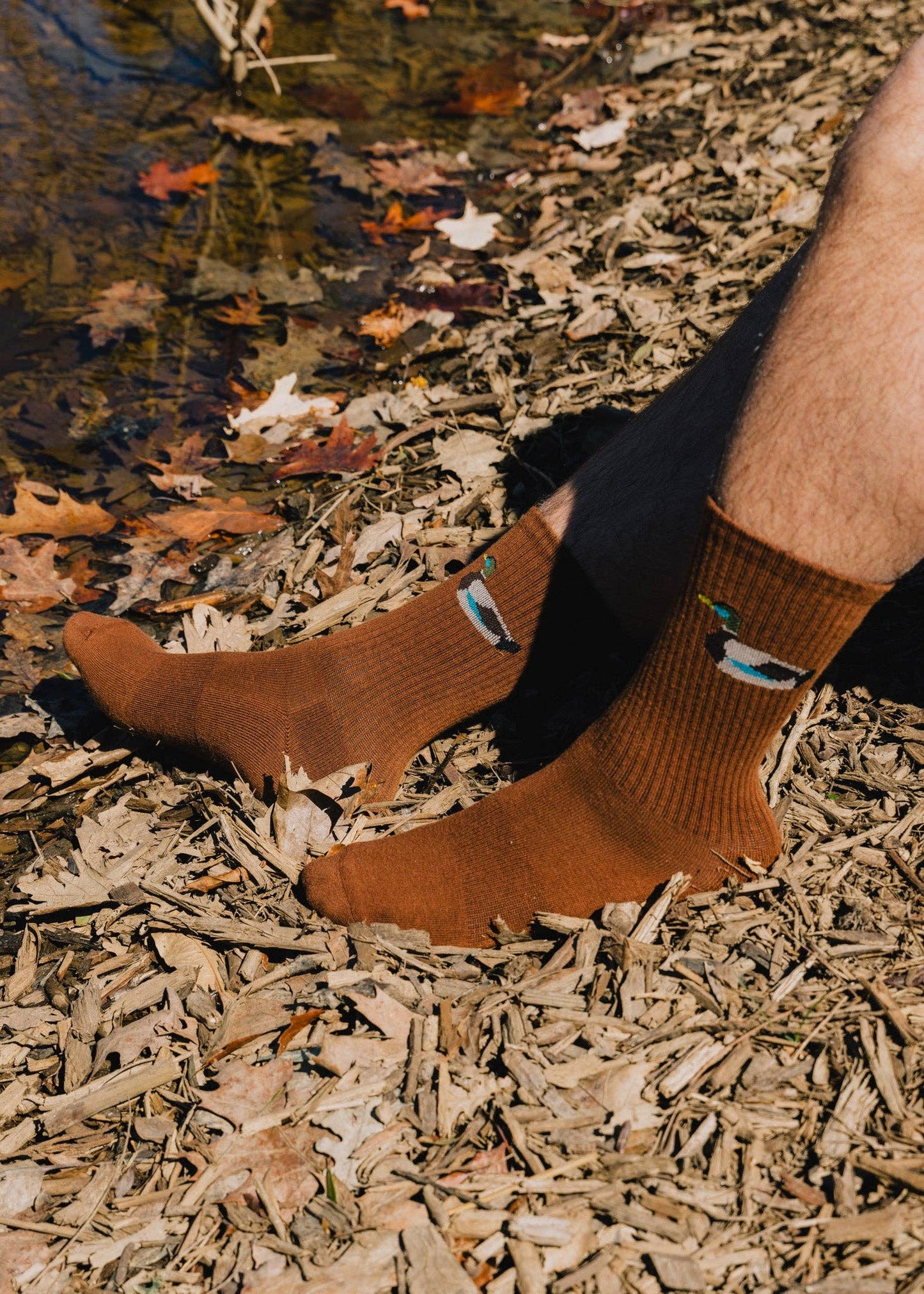 The Zoo Crew Socks
