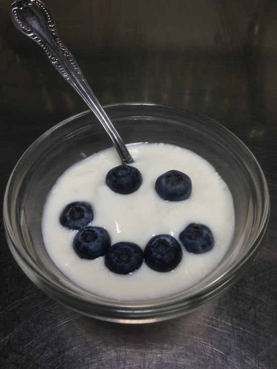 Bulgarian Yogurt Starter Culture