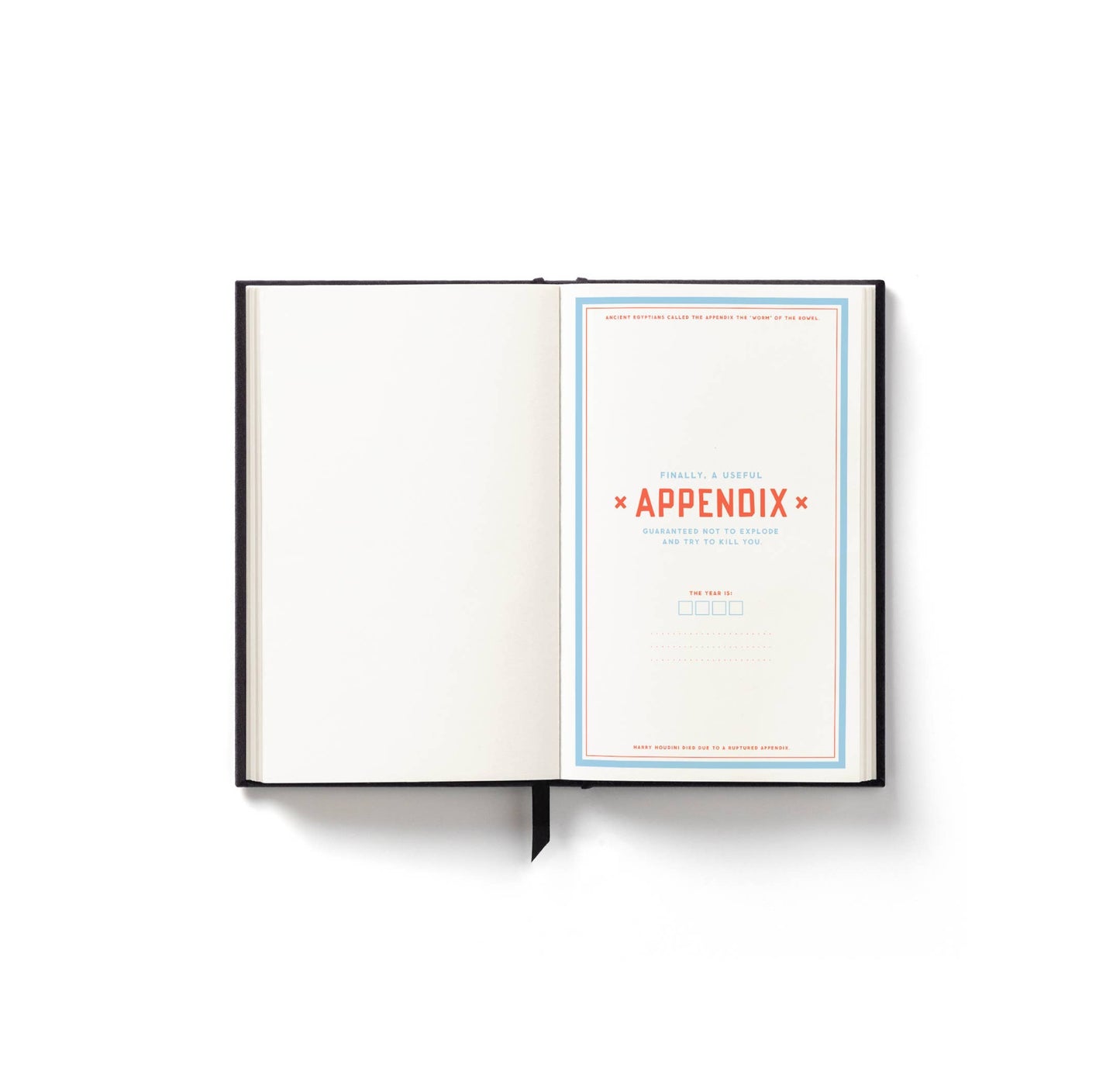 Undated Planner