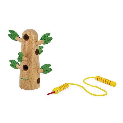 Lace up Tree | Tropics
