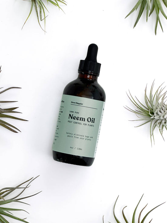 Neem Oil