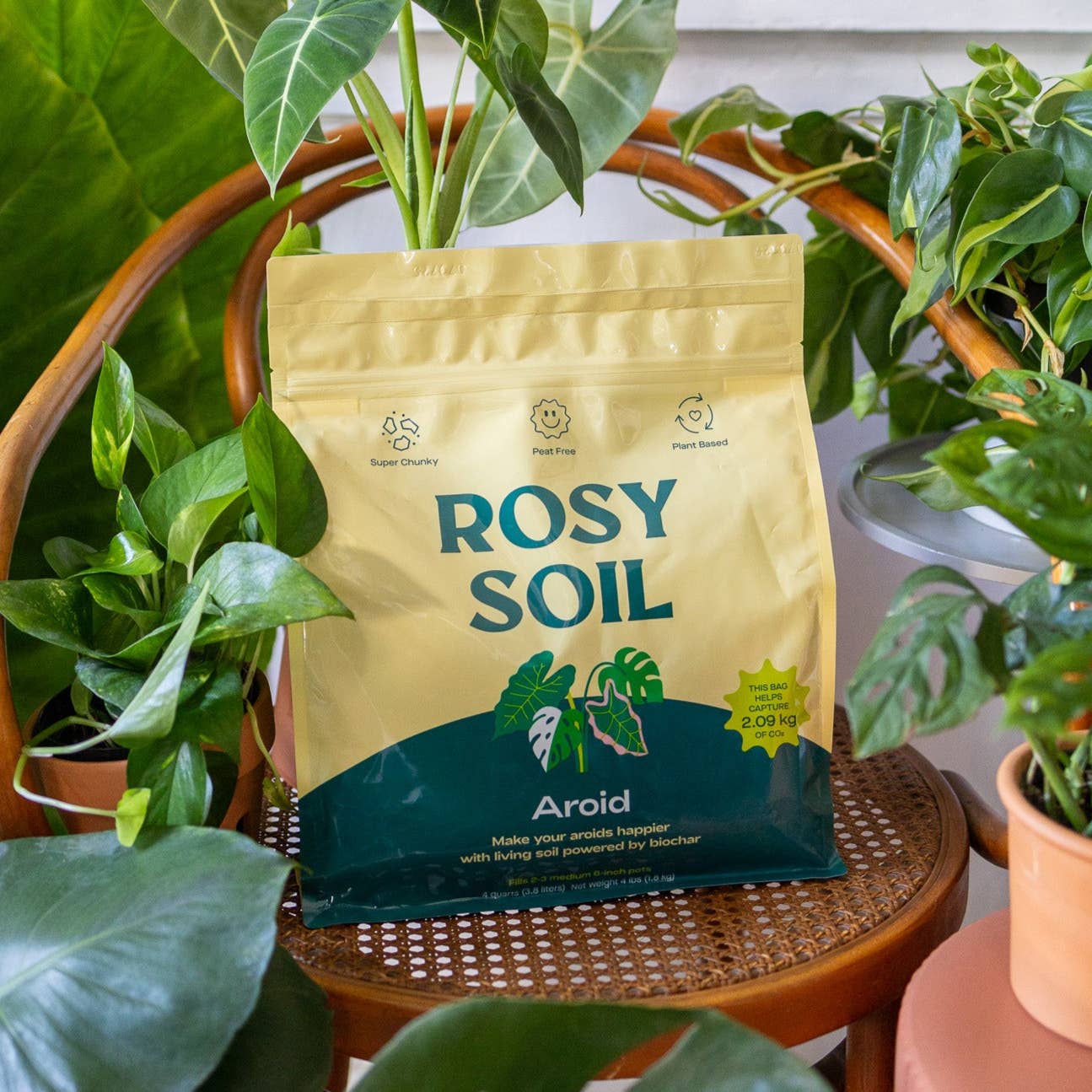 Organic Aroid Potting Mix
