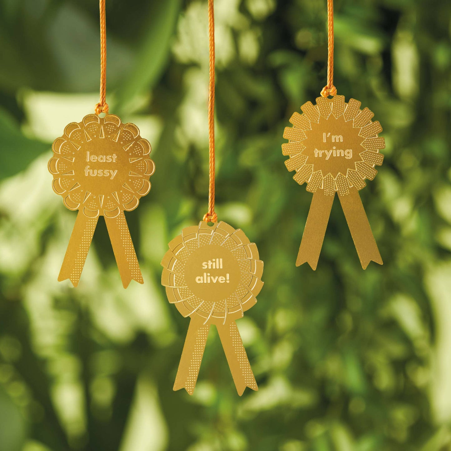 Plant Award Set