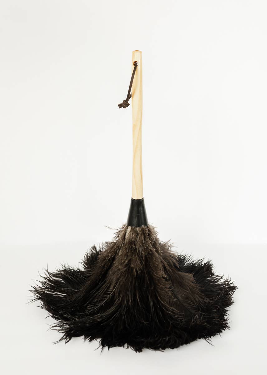 Feather Duster | 20 inch