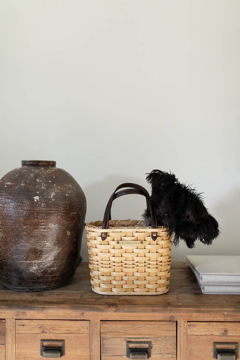 Feather Duster | 20 inch