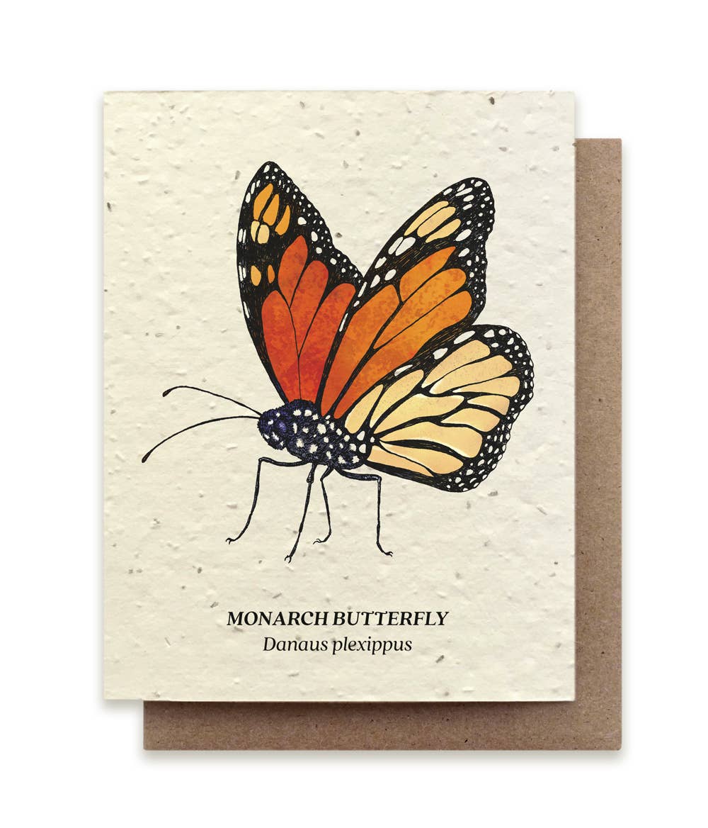 Seeded Plantable Greeting Cards