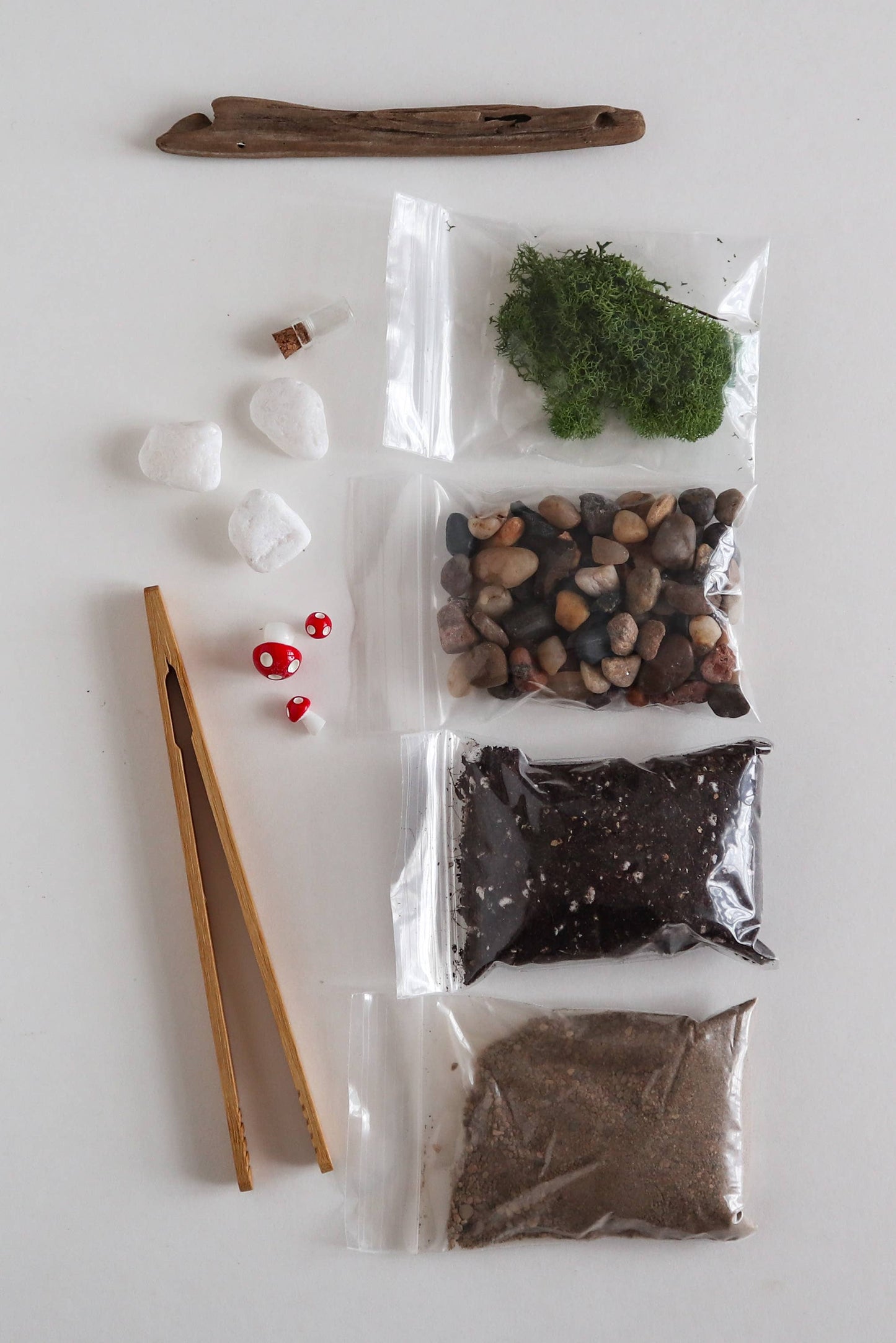 Glass Terrarium Kit