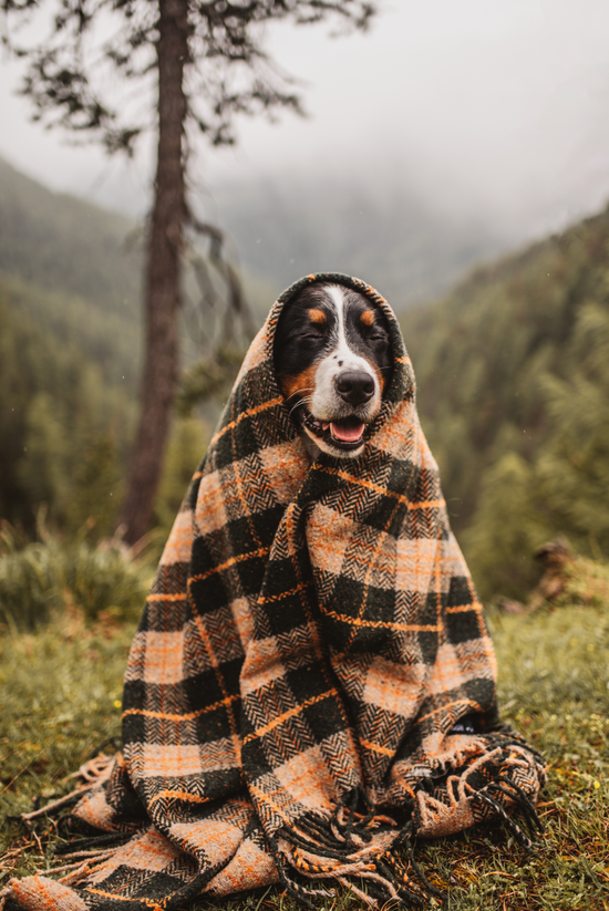Vintage Collection Throw Blankets by Sackcloth & Ashes