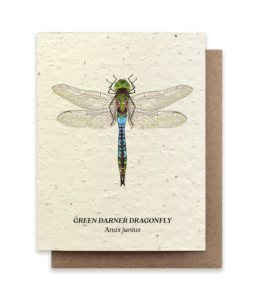 Seeded Plantable Greeting Cards