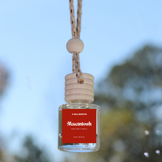 Car Diffusers | Winter Collection