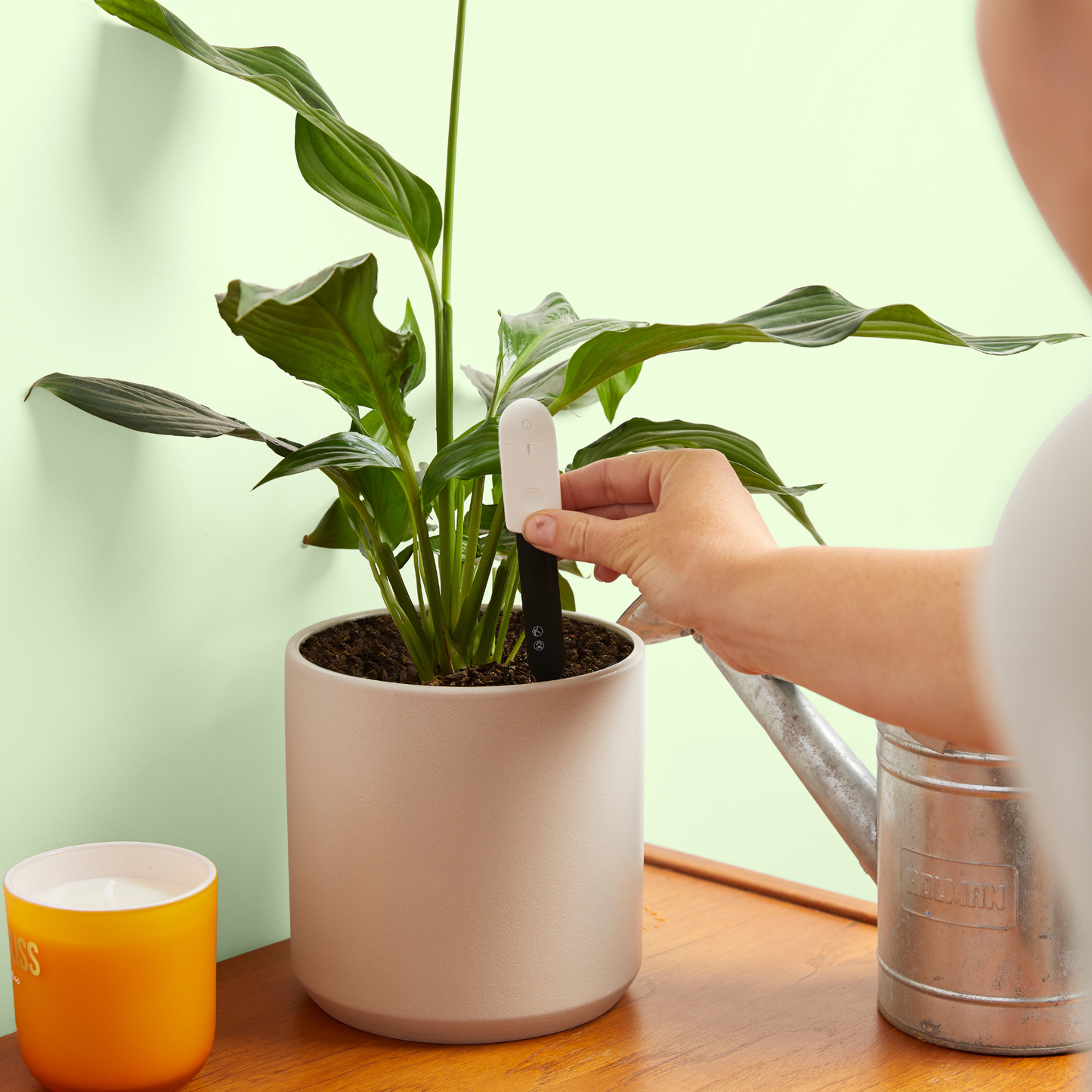 Houseplant Soil Moisture Meter