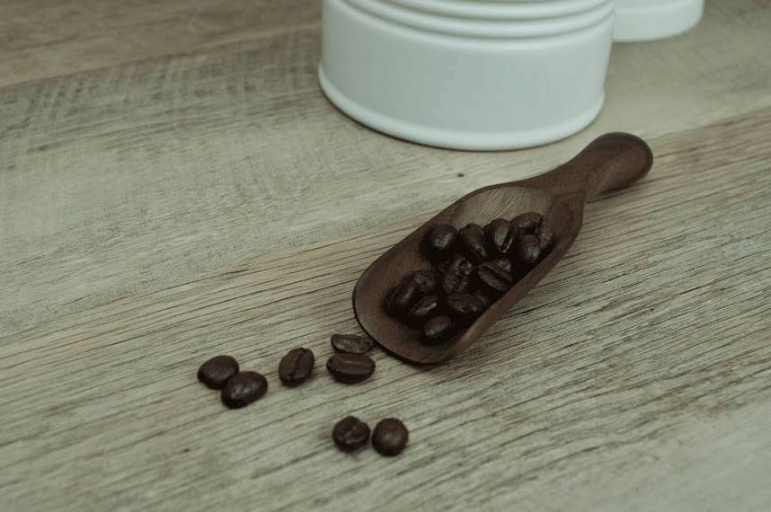 Small Walnut Wood Scoop