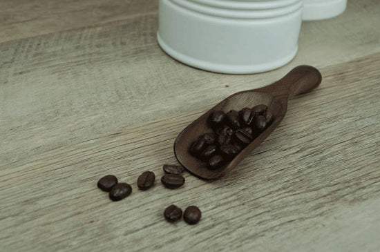 Small Walnut Wood Scoop
