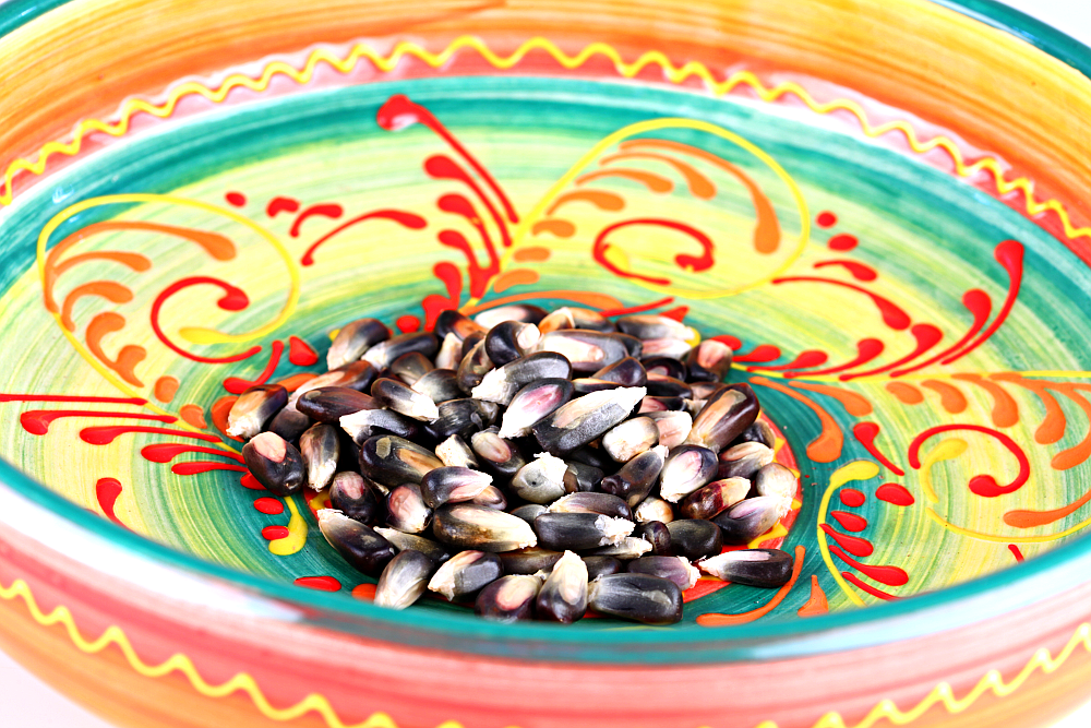 Blue Cónico Heirloom Cornmeal/Polenta 2lb