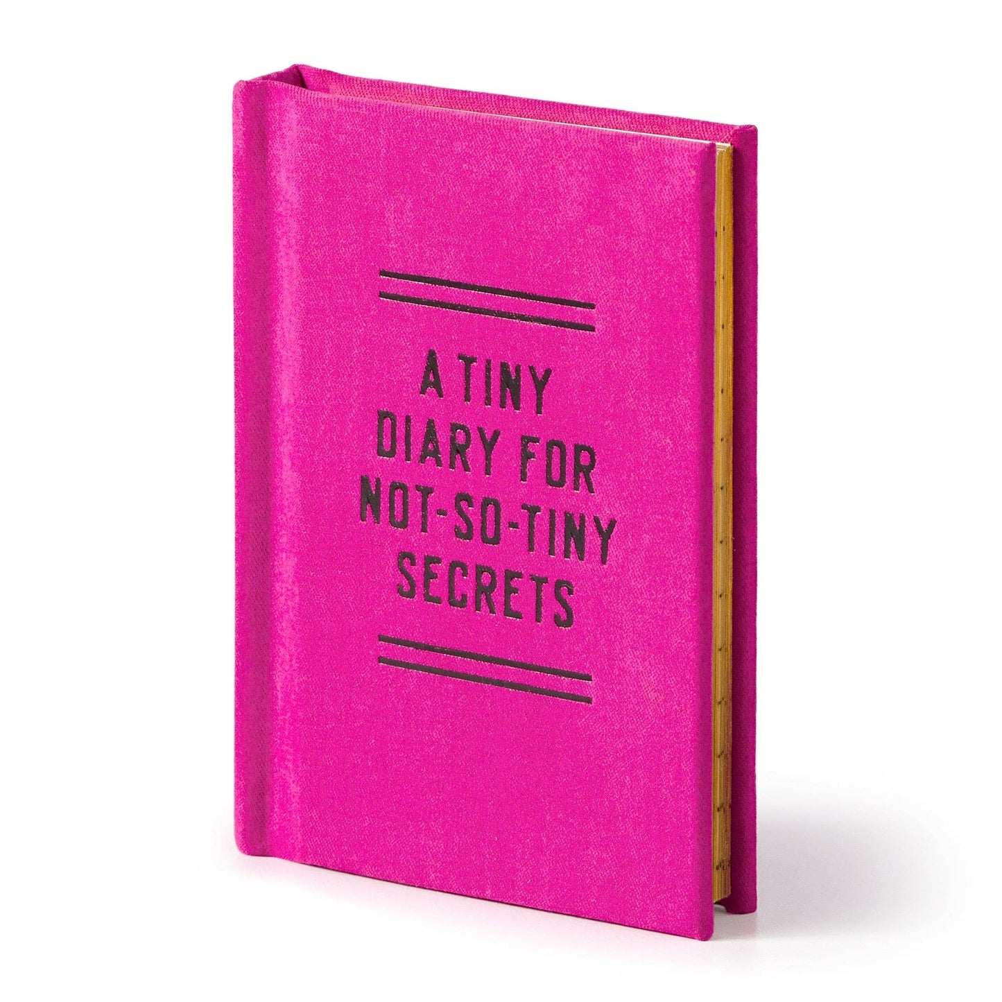 A Tiny Diary for Not So Tiny Secrets